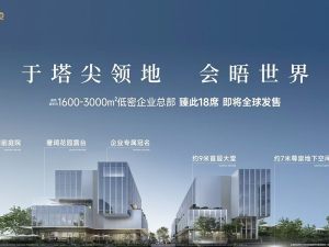 番禺-华润置地长隆万博悦府